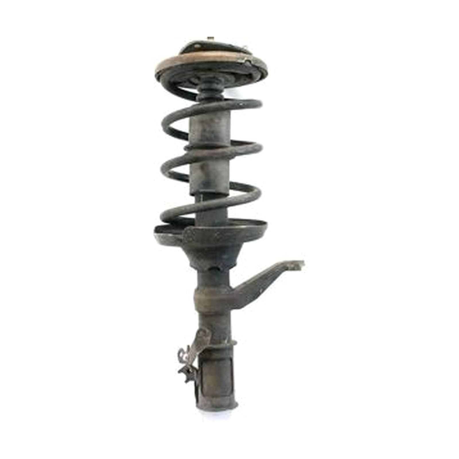 Honda Element 2003-2005 Front Right Shock Absorber product image