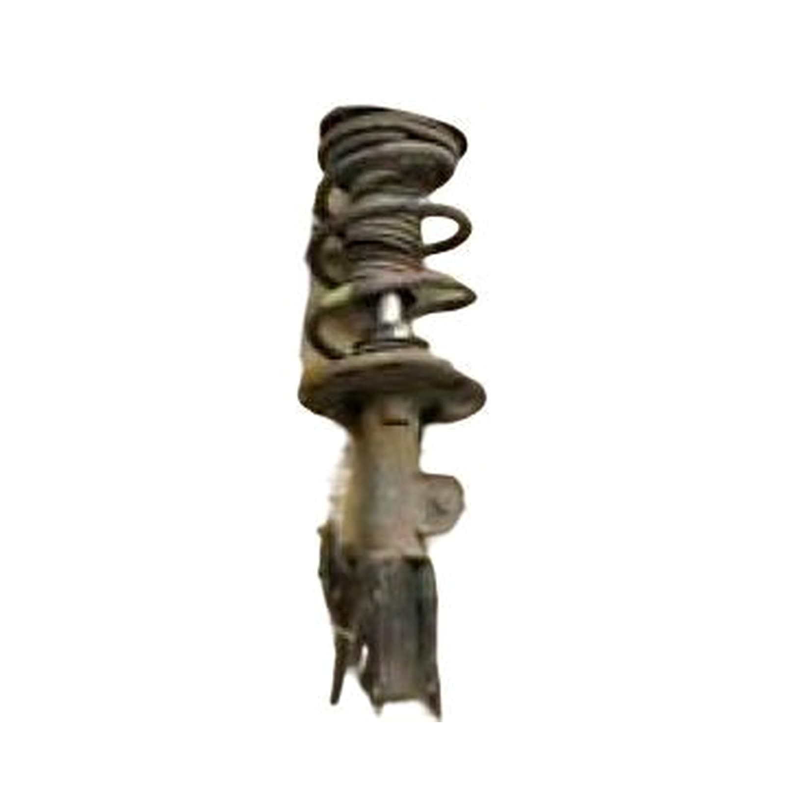 Toyota Prius 2010-2011 Front Right Shock Absorber product image